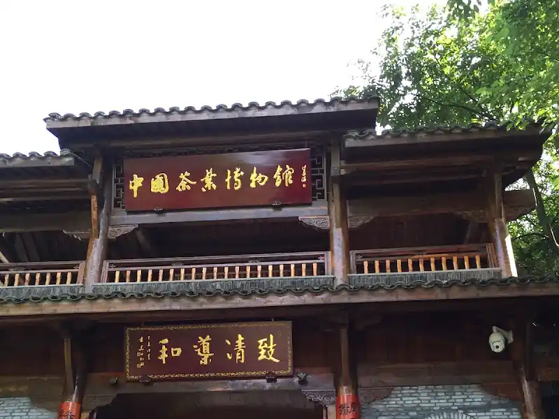 China Tea Museum