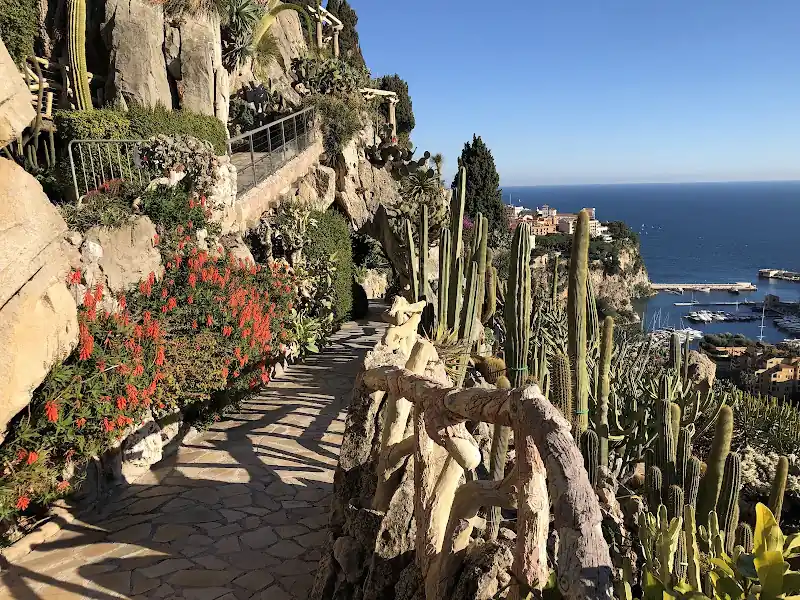 Jardin Exotique de Monaco