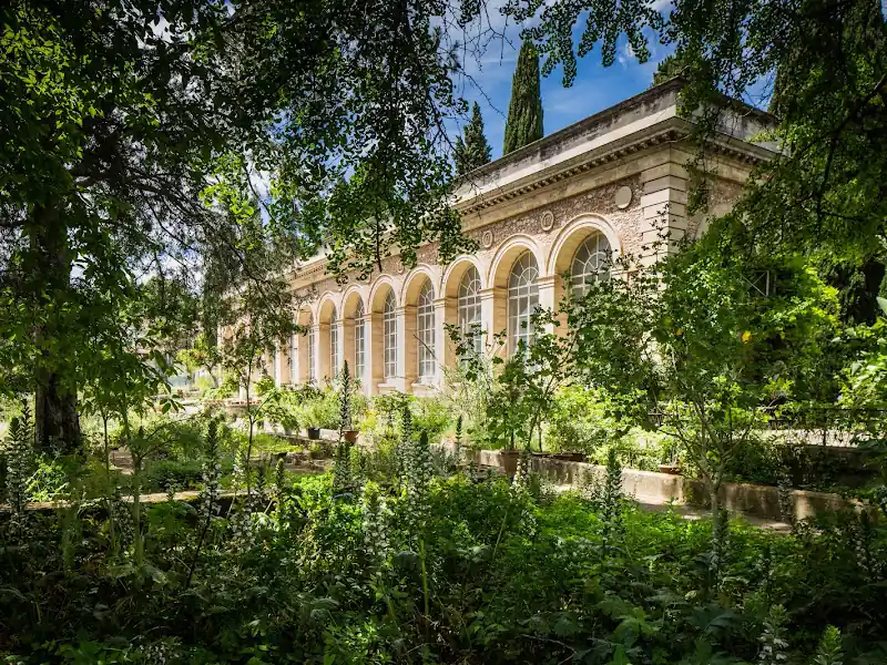 Jardin des Plantes de Montpellier
