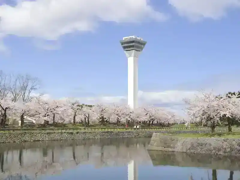 Goryokaku Tower
