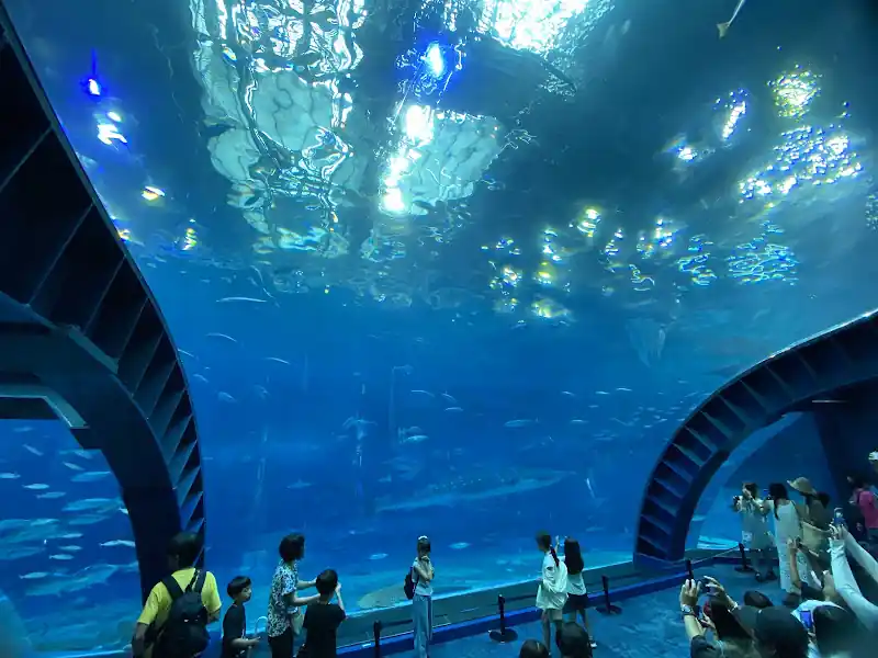 Acuario Churaumi