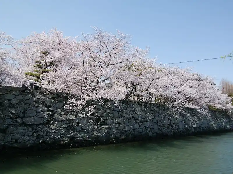 Tokushima Chuo Park