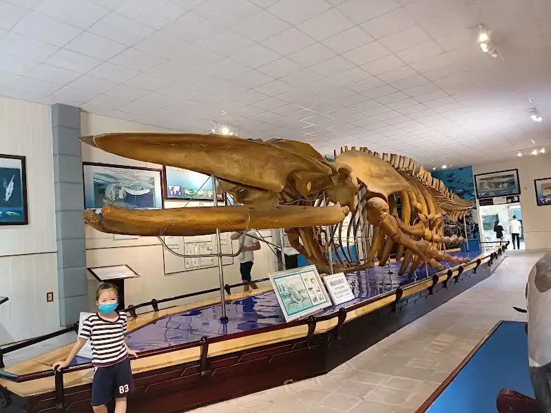 National Oceanographic Museum of Vietnam